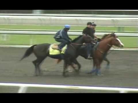 California-Santa Anita