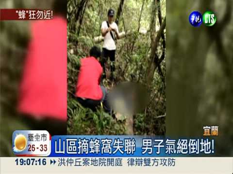 穿雨衣摘虎頭蜂窩 男子遭螫死