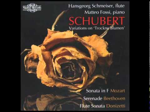 Schubert  - Serenade In D Major Op  41 1803: V  Allegro Scherzando E Vivace