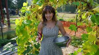 Do This Now to Increase Your Fall Harvest & Garden Tour