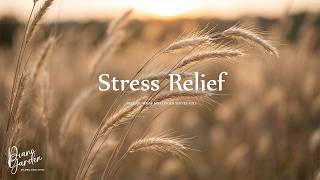 Release What No Longer Serves You 🍂💧 Calming Piano Music for Letting Go, Healing & Stress Relief