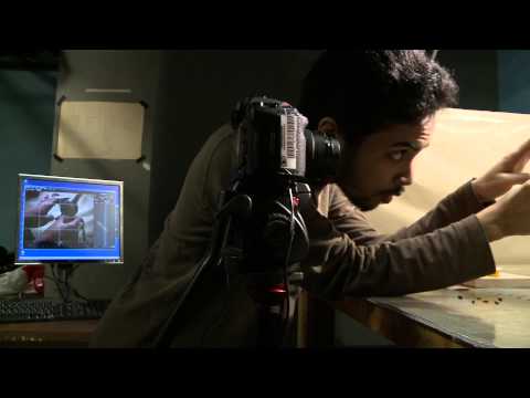 Film Animation Program, Concordia University, Montreal