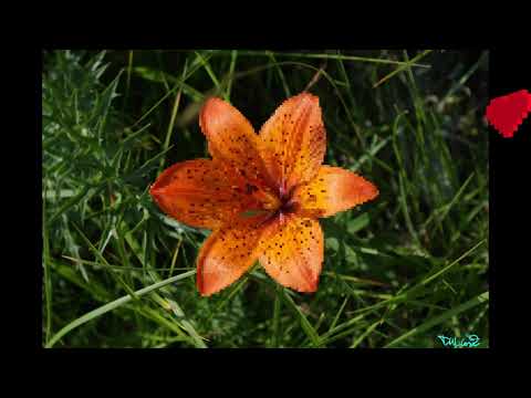 pixel day By di fra (ft fox fire)