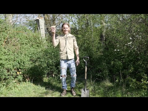 Rädda hotade arter med sten - Trädgårdshacks med GardenR