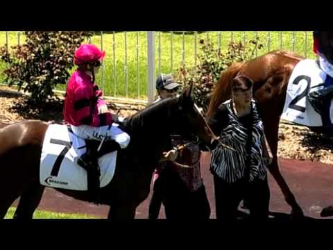 ASCOT 31 OCT 15, RACE 1 - SPANGLED IMPACT - MIKE SANTICH