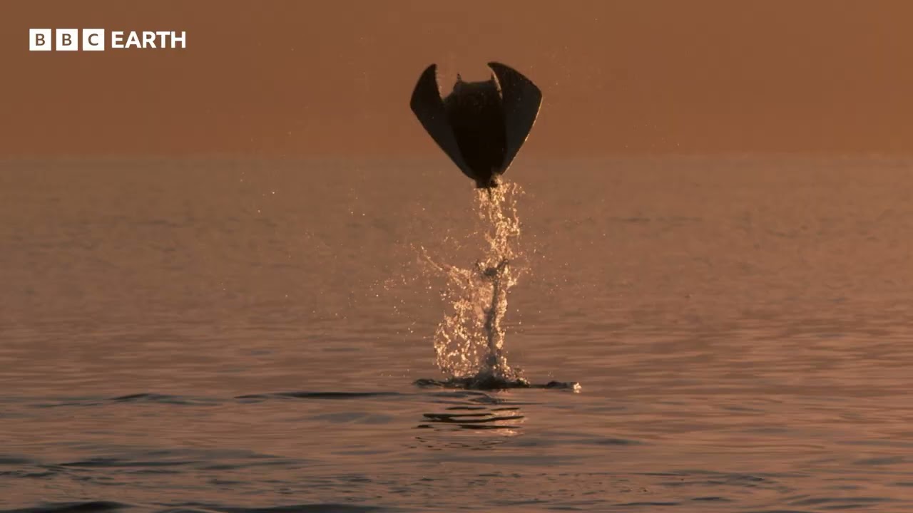 Bolygónk, a Föld III