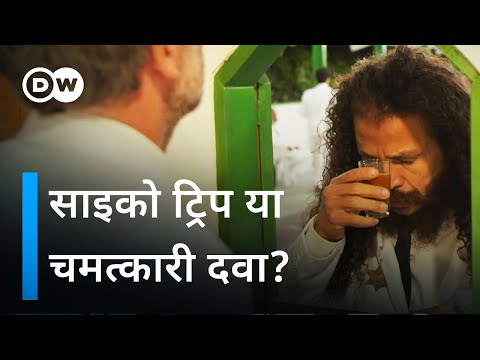 ब्राज़ील में अयावास्का की बढ़ती मांग [Ayahuasca Boom in Brazil] | DW Documentary हिन्दी