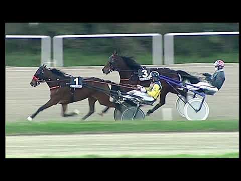 Trotto 31/12/2020 - 6ª corsa