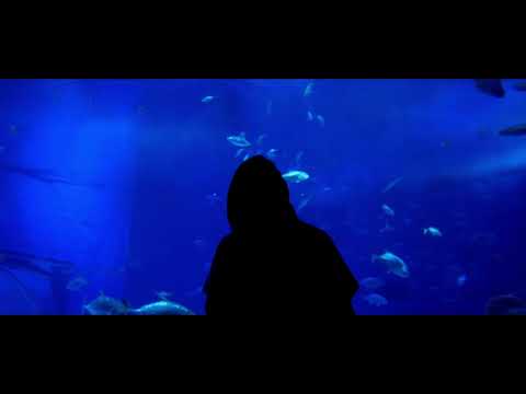 沖縄美ら海水族館　プロモーションビデオ