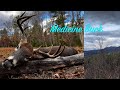 Medicine Buck ~ Whitetail Deer Hunting