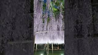 2026年6月20日