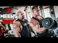 2 WEEKS OUT! Stimmt die Form? Arm Workout & Talk mit Chris Kall