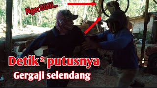 Download lagu NGERIIII....!! DETIK-DETIK TERAKIR PUTUSNYA SELENDANG GERGAJI mp3