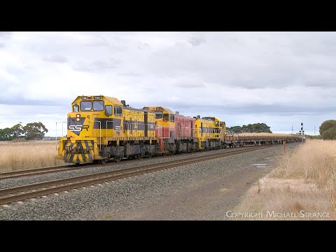 9165 Southern Shorthaul Railroad (SSR) Broad Gauge Rail Train (12/4/2023) - PoathTV Railways