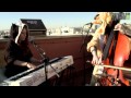MAUD THE MOTH (BalconyTV) 