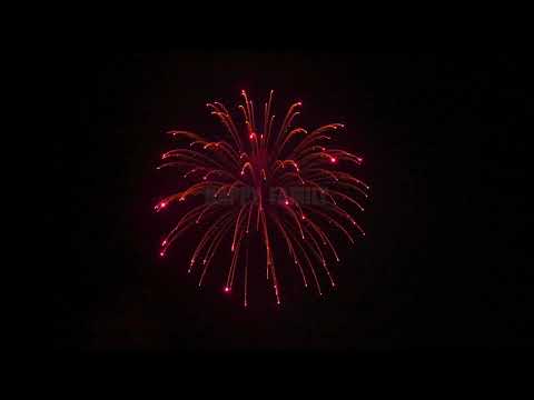 47  5 inch shell red glittering willow