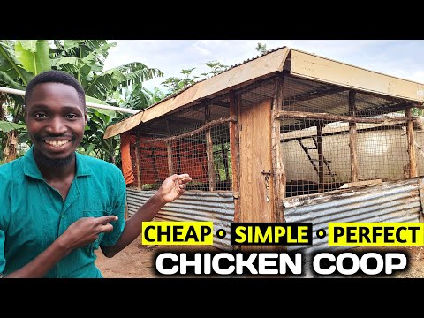 The CHEAPEST and EASIEST Chicken Coop You Can Make!