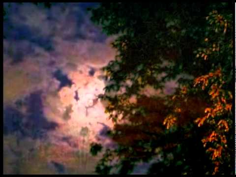 "Floare-albastra" de Mihai Eminescu (Poetry reading/ Romanian poets) engl.sbt.