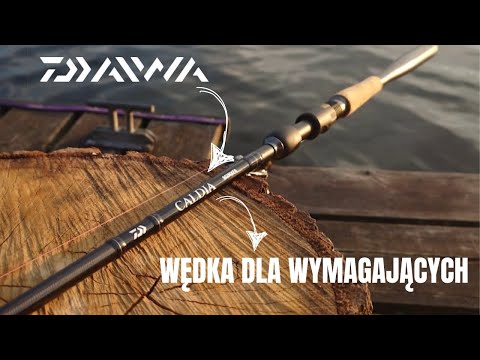 Wędka Daiwa Caldia Sensor Jig Spin 240cm / 8-35g
