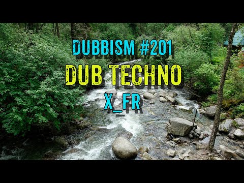 DUBBISM №201 [X_FR] 🌲🌲🌲Dub Techno Session 2024🌲🌲🌲