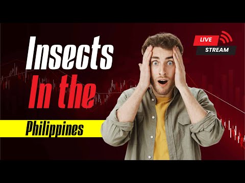 Know before you go:  7 Bugs that can Kill You in the Philippines