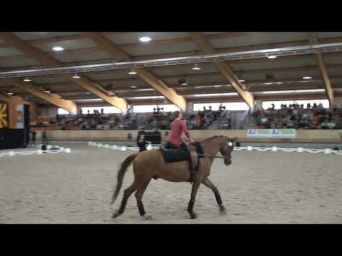 Hannah Steverding freestyle