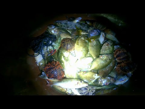 Ep.383 -Sulit ang gabi sa lamig sa dami ng Huli | Catch and Cook