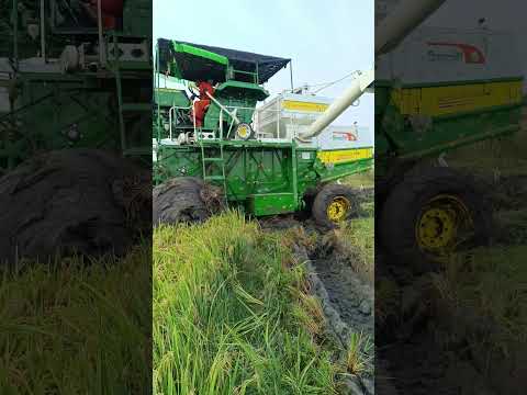 jd 5075 green gold harvester 4wd 75 in deep mud #automobile #greengold #johndeere #tractor #trending