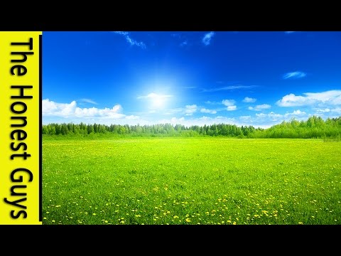 GUIDED MEDITATION - Letting Go