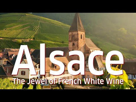 Alsace Wine Region: The Jewel of French White Wine