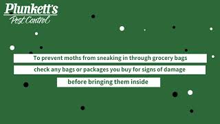 How Moths Get Into Your Home in the Winter | Plunkett&#39;s Pest Control