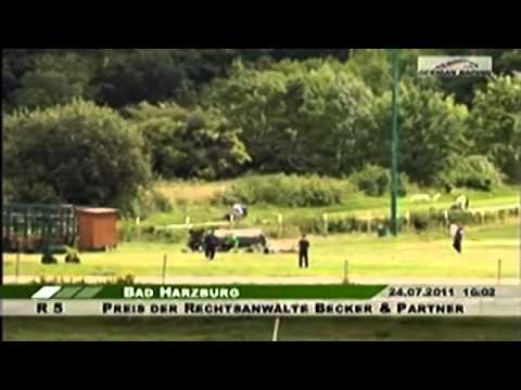 24.08.2011 Bad Harzburg 5.Rennen Preis der Rechtsanwälte Becker & Partner,Goslar Agl:IV(F) 2.800 m