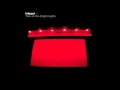 Obstacle 2 - Interpol 