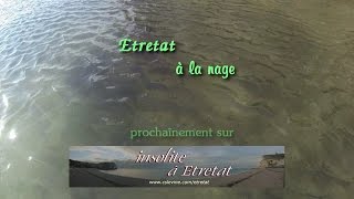 preview picture of video 'annonce Etretat a la nage v1'