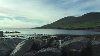 Down by the Salley Gardens (Cover by Nilanthi)