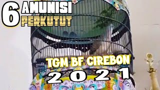Download lagu AMUNISI PERKUTUT TAHUN 2021 RING TGM BIRD FARM... mp3