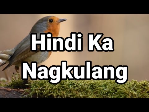 HINDI KA NAGKULANG (LYRICS) - TAGALOG WORSHIP SONG