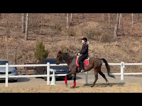 비디오 23