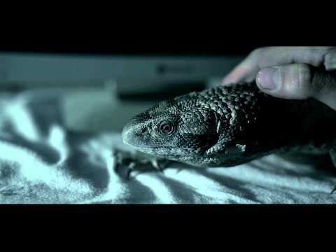 CHEYENO ELESBE- Bardzo mi miło (TRAILER)
