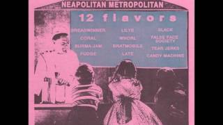 Neapolitan Metropolitan 1992 Punk Compilation