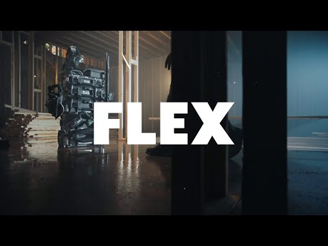 FLEX video preview