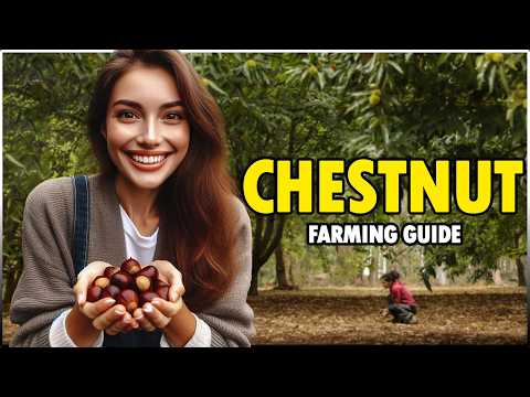 CHESTNUT Farming - Complete Guide