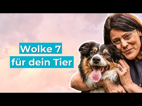 Dieser Punkt schenkt Deinem Tier Ruhe & Glück: Herz 7 erklärt