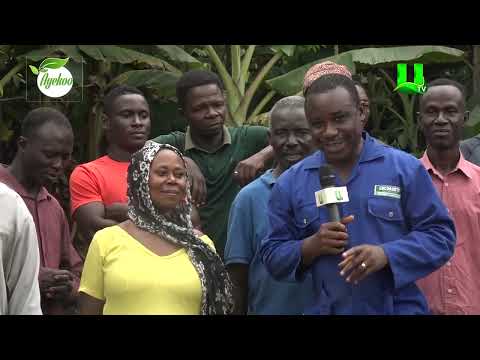 AYEKOO:  CHURCHES IN AGRIC PROGRAM  - THE SAVIOUR CHURCH OF GHANA