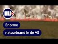 'Muur van vuur' raast over natuurgebied in Florida | NU.nl