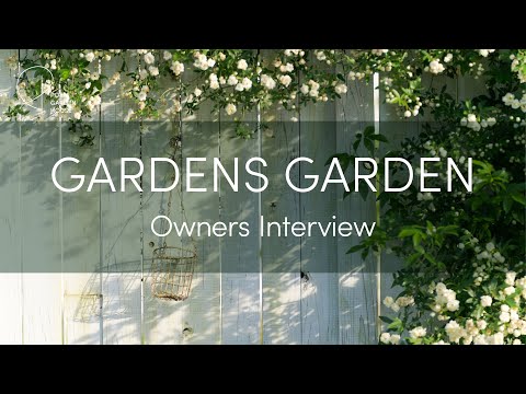 aménagement jardin paysager -autour-piscine-graminées-ornement-bananier