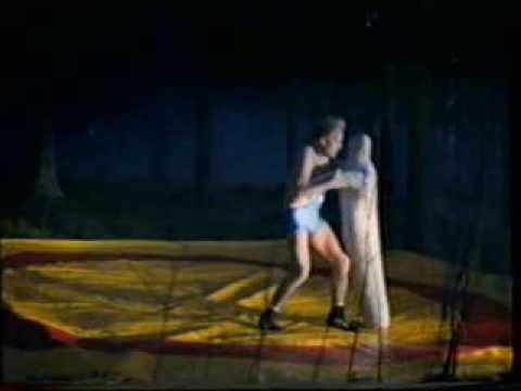 Vaasan Ruispalat Painija