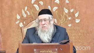 בהרה"ג הרב וועכטר שליט"א ג' טבת תשפ"ד - מאמר הרבי הריי"צ חנוכה תרפ"ו ד"ה ואתה ברחמיך חלק (הרב אברהם מנחם מענדל וכטר) - התמונה מוצגת ישירות מתוך אתר האינטרנט יוטיוב. זכויות היוצרים בתמונה שייכות ליוצרה. קישור קרדיט למקור התוכן נמצא בתוך דף הסרטון