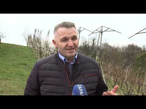 Vincekovo u Velikom Trgovišću