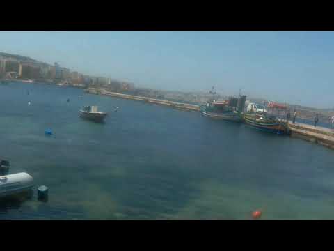 Mullet fishing - Malta, april 2018